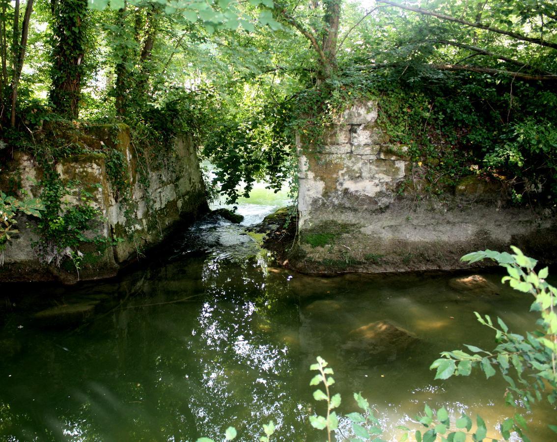 Moulin De Jouenery Et Spa Brassac  Екстериор снимка